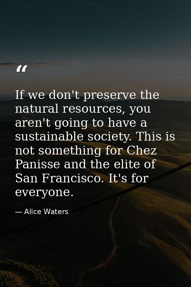 If we don't preserve the natural resources, you aren't going to have a sustainable society. This is not something for Ch — Alice Waters