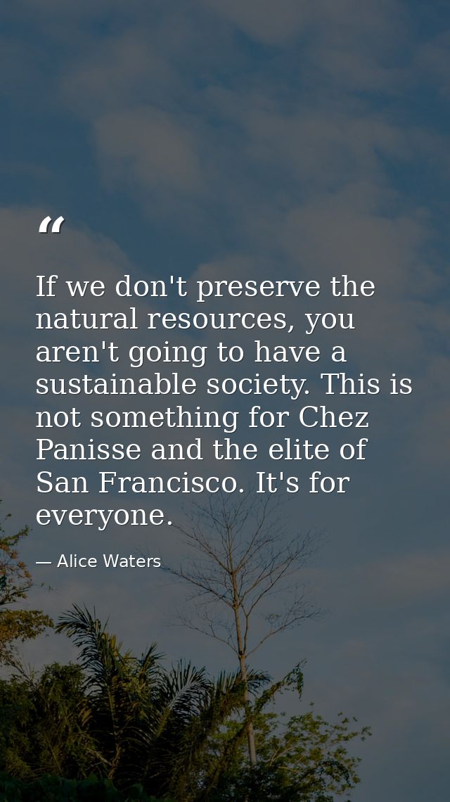 If we don't preserve the natural resources, you aren't going to have a sustainable society. This is not something for Ch — Alice Waters
