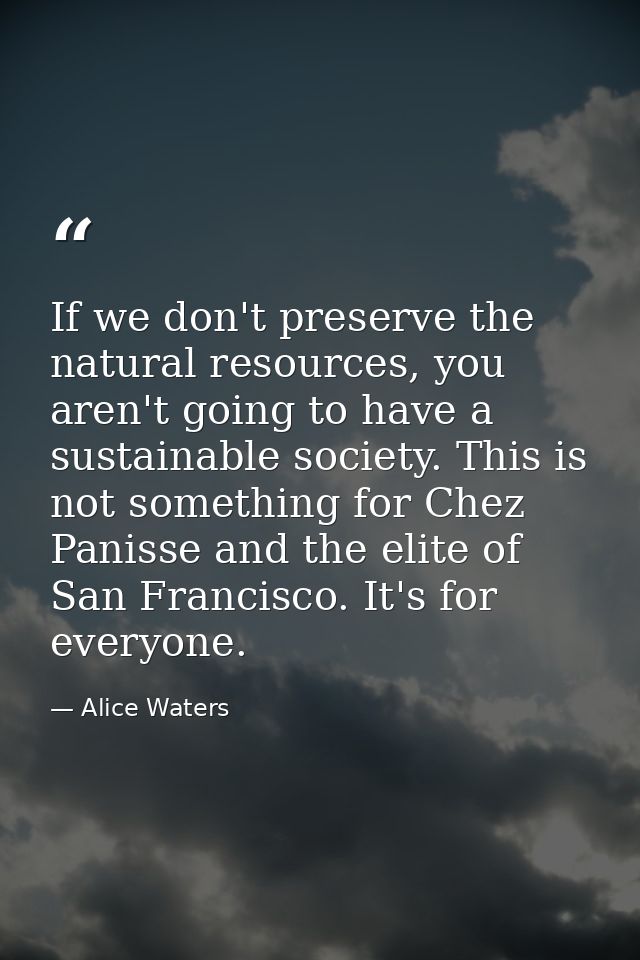 If we don't preserve the natural resources, you aren't going to have a sustainable society. This is not something for Ch — Alice Waters