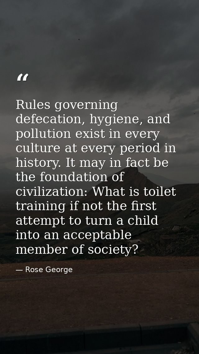 Rules governing defecation, hygiene, and pollution exist in every culture at every period in history. It may in fact be  — Rose George