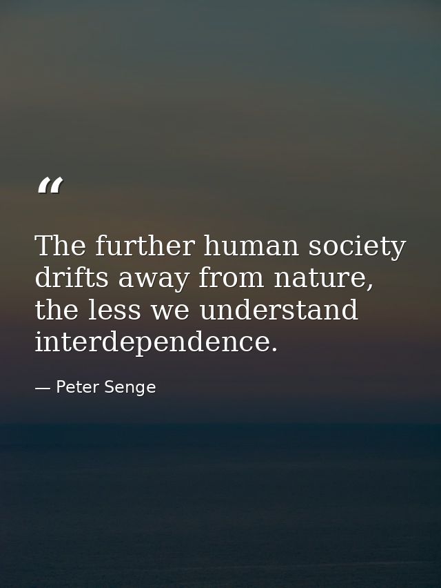 The further human society drifts away from nature, the less we understand interdependence. — Peter Senge