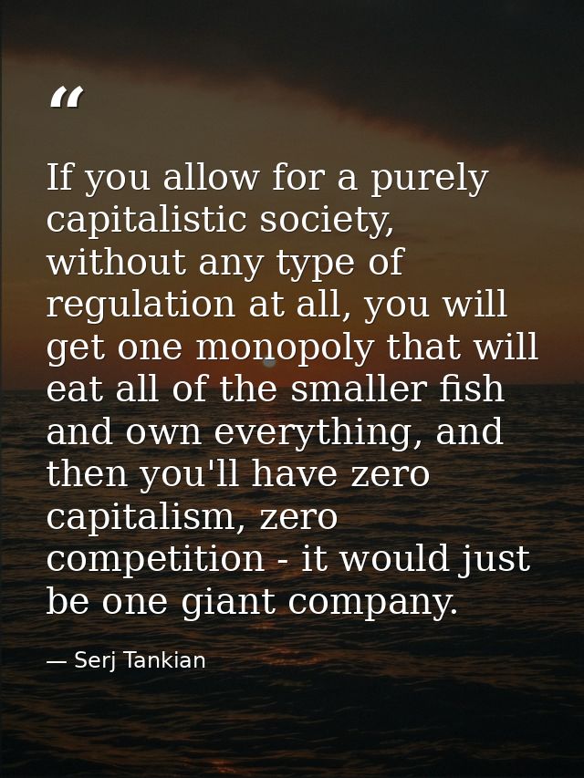 If you allow for a purely capitalistic society, without any type of regulation at all, you will get one monopoly that wi — Serj Tankian