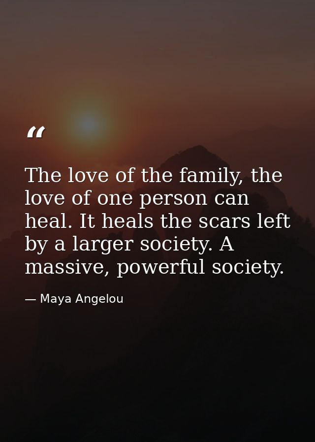 The love of the family, the love of one person can heal. It heals the scars left by a larger society. A massive, powerfu — Maya Angelou