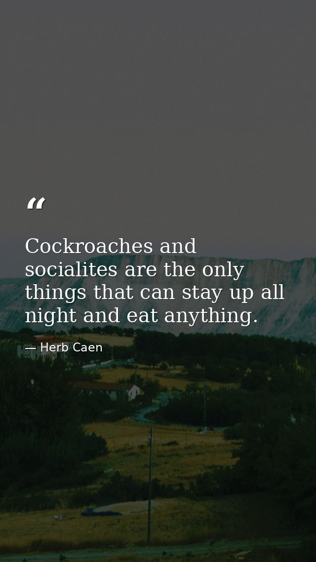 Cockroaches and socialites are the only things that can stay up all night and eat anything. — Herb Caen