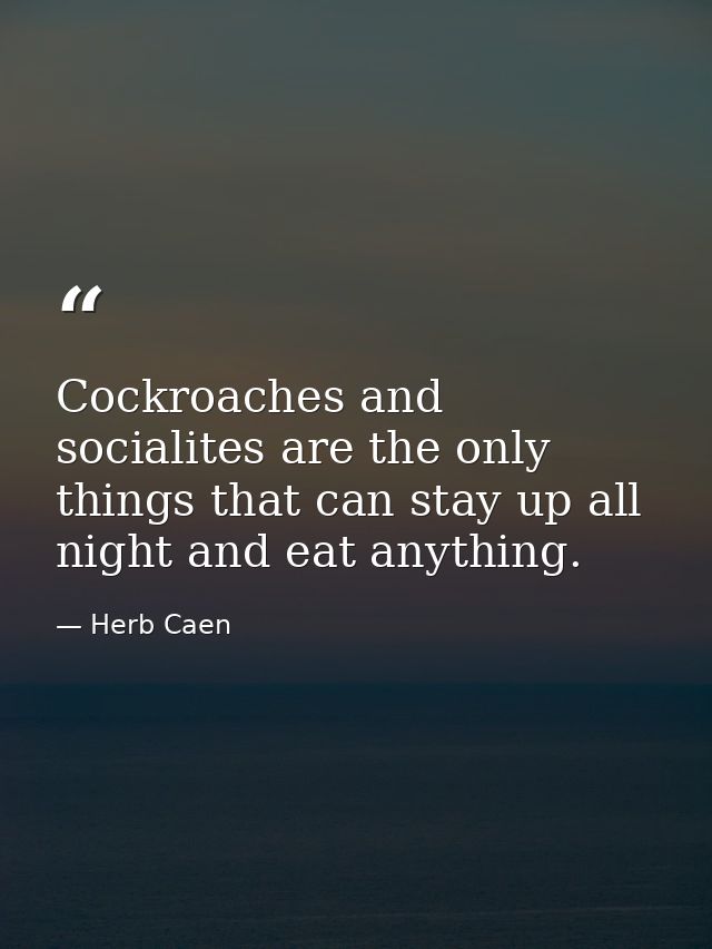 Cockroaches and socialites are the only things that can stay up all night and eat anything. — Herb Caen