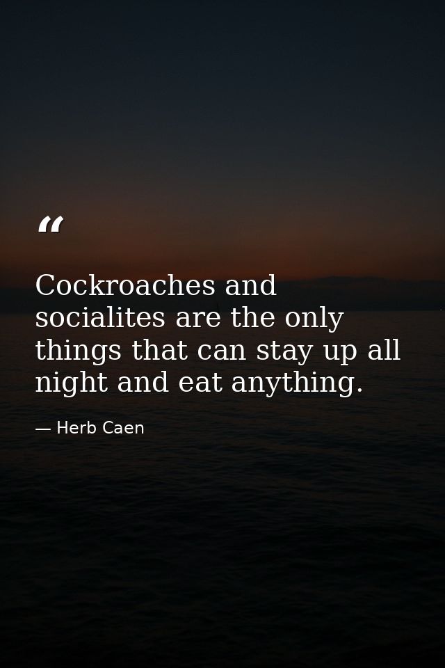 Cockroaches and socialites are the only things that can stay up all night and eat anything. — Herb Caen
