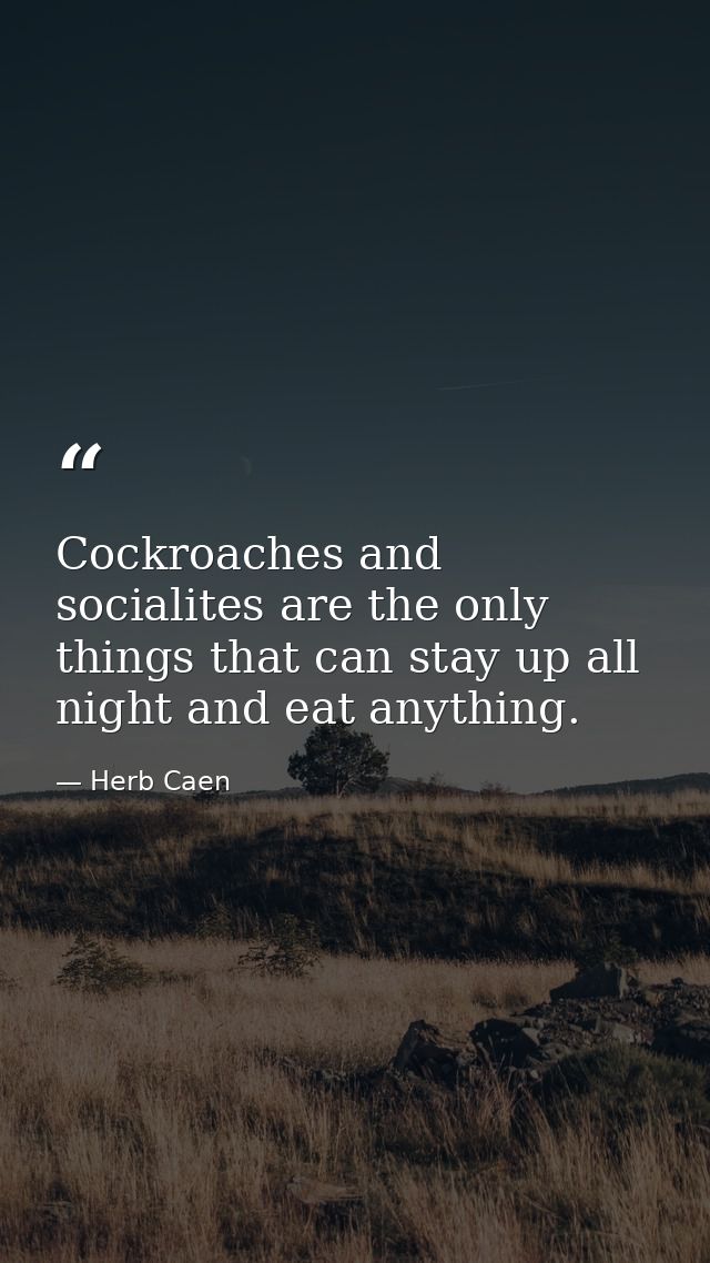 Cockroaches and socialites are the only things that can stay up all night and eat anything. — Herb Caen