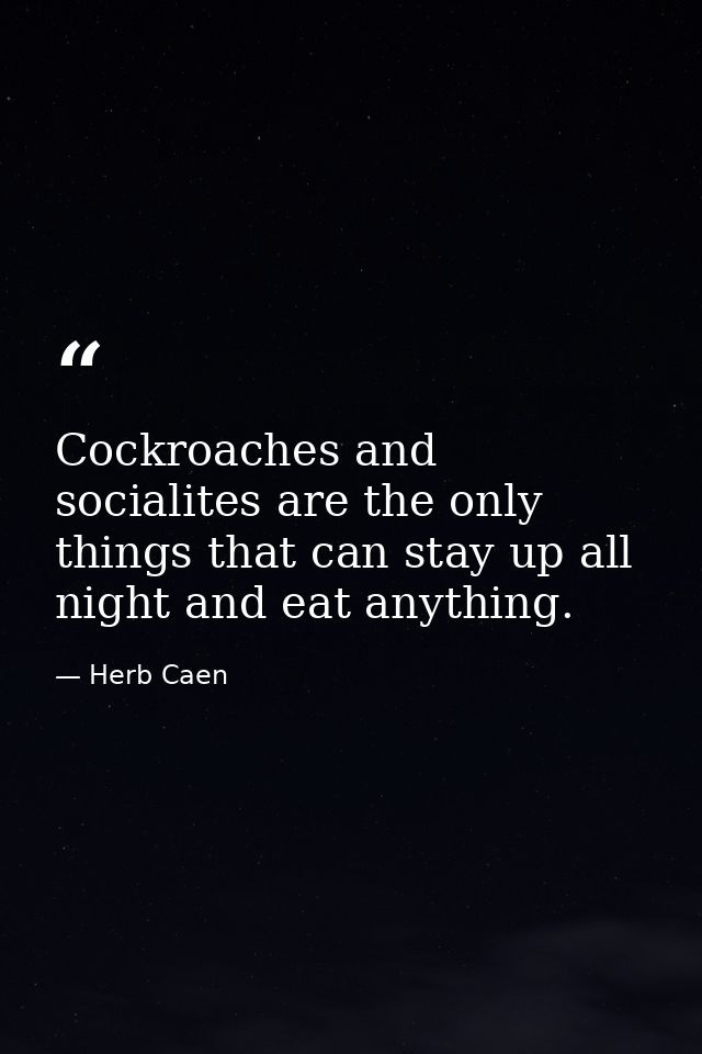 Cockroaches and socialites are the only things that can stay up all night and eat anything. — Herb Caen