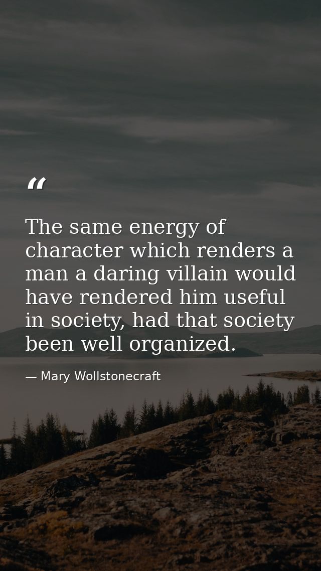 The same energy of character which renders a man a daring villain would have rendered him useful in society, had that so — Mary Wollstonecraft