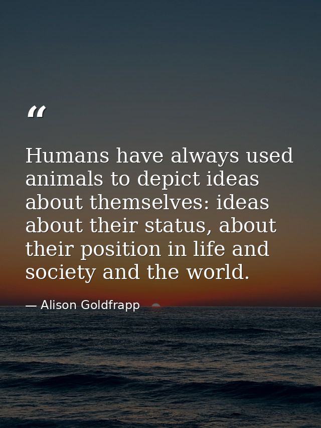 Humans have always used animals to depict ideas about themselves: ideas about their status, about their position in life — Alison Goldfrapp