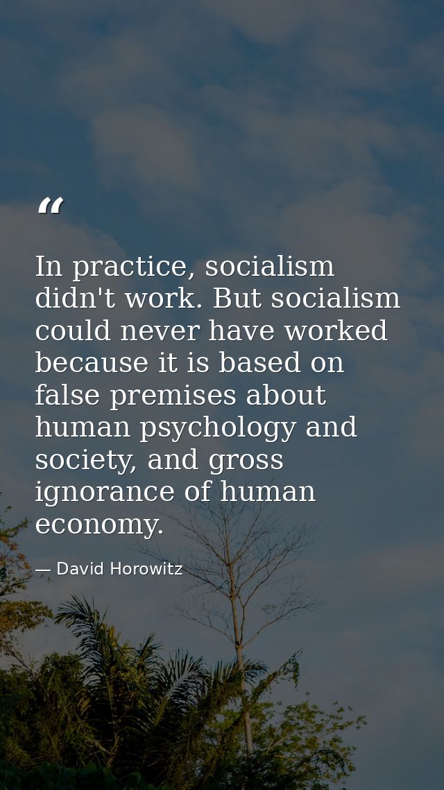 In practice, socialism didn't work. But socialism could never have worked because it is based on false premises about hu — David Horowitz