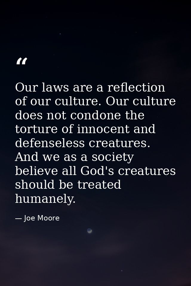 Our laws are a reflection of our culture. Our culture does not condone the torture of innocent and defenseless creatures — Joe Moore