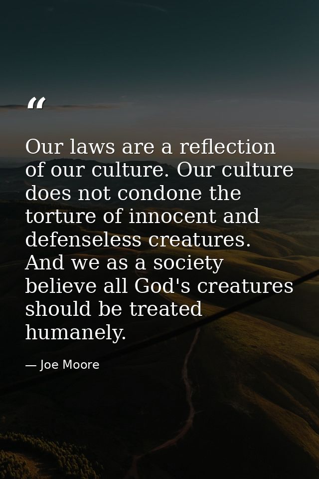 Our laws are a reflection of our culture. Our culture does not condone the torture of innocent and defenseless creatures — Joe Moore
