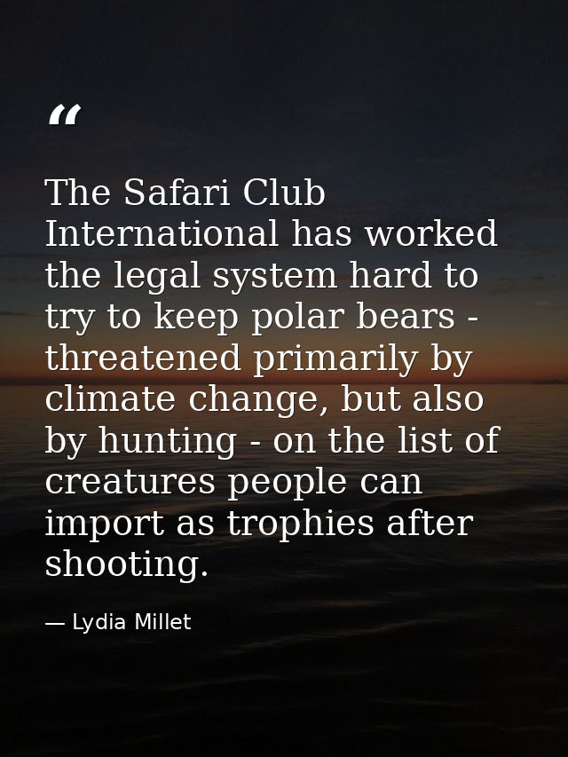 The Safari Club International has worked the legal system hard to try to keep polar bears - threatened primarily by clim — Lydia Millet