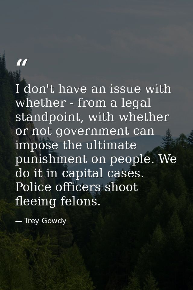 I don't have an issue with whether - from a legal standpoint, with whether or not government can impose the ultimate pun — Trey Gowdy