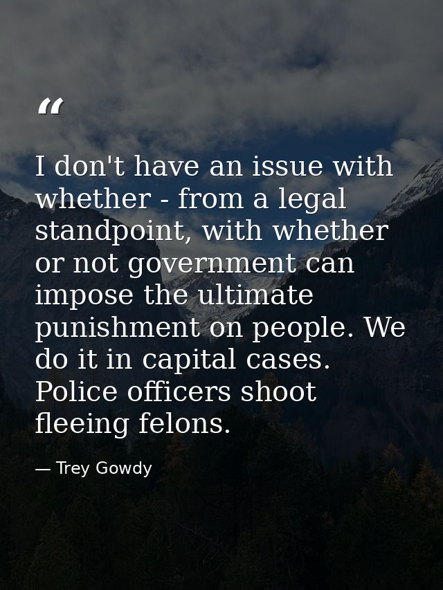 I don't have an issue with whether - from a legal standpoint, with whether or not government can impose the ultimate pun — Trey Gowdy