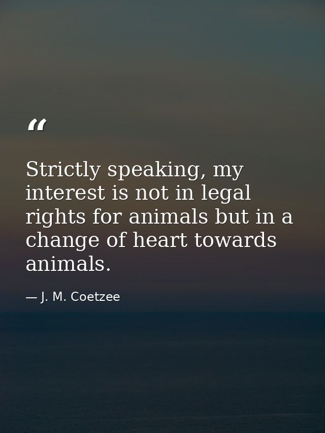 Strictly speaking, my interest is not in legal rights for animals but in a change of heart towards animals. — J. M. Coetzee