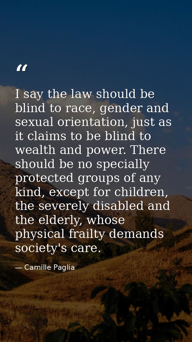 I say the law should be blind to race, gender and sexual orientation, just as it claims to be blind to wealth and power. — Camille Paglia