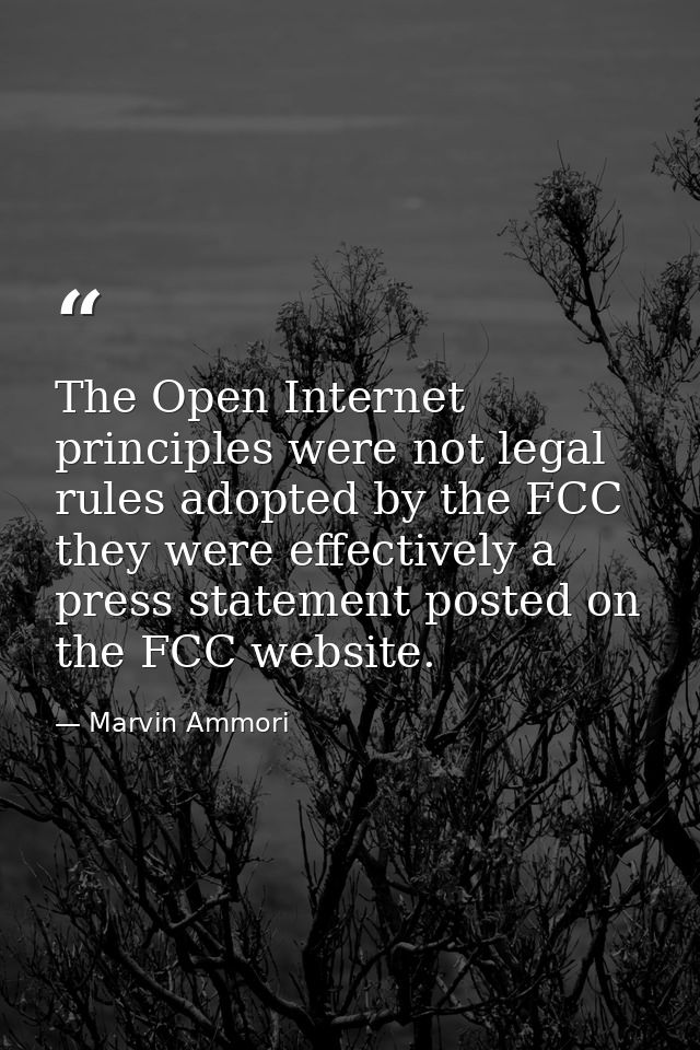 The Open Internet principles were not legal rules adopted by the FCC they were effectively a press statement posted on t — Marvin Ammori