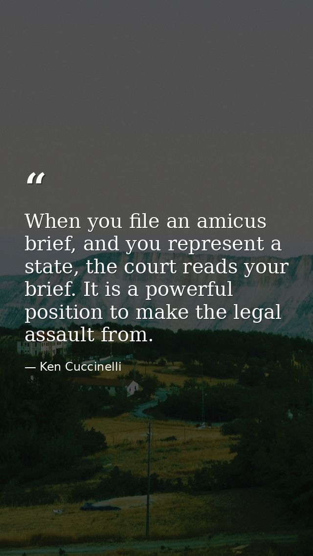 When you file an amicus brief, and you represent a state, the court reads your brief. It is a powerful position to make  — Ken Cuccinelli