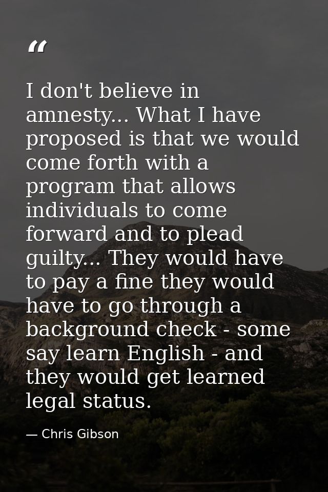 I don't believe in amnesty... What I have proposed is that we would come forth with a program that allows individuals to — Chris Gibson