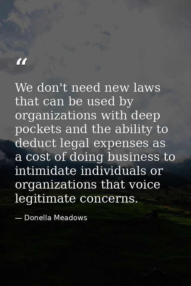 We don't need new laws that can be used by organizations with deep pockets and the ability to deduct legal expenses as a — Donella Meadows