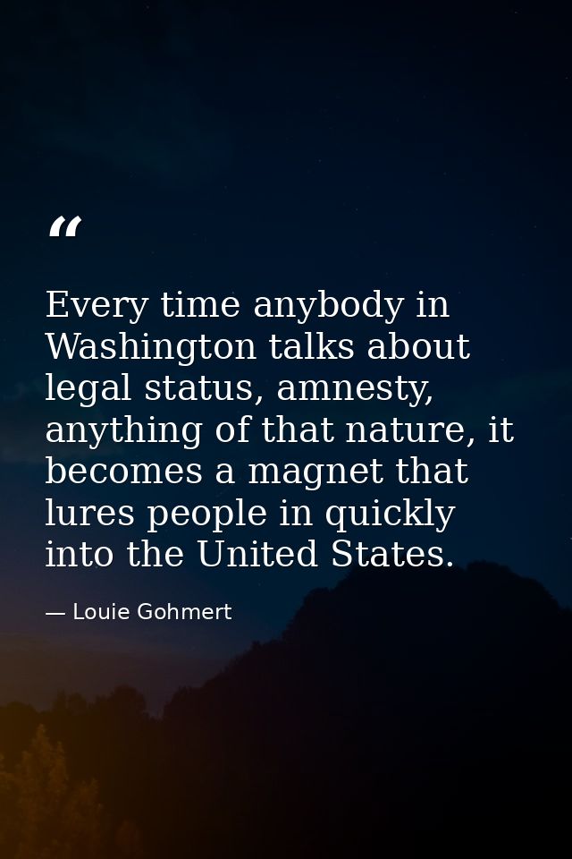 Every time anybody in Washington talks about legal status, amnesty, anything of that nature, it becomes a magnet that lu — Louie Gohmert