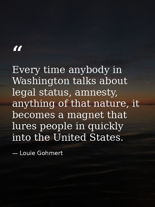 Every time anybody in Washington talks about legal status, amnesty, anything of that nature, it becomes a magnet that lu — Louie Gohmert