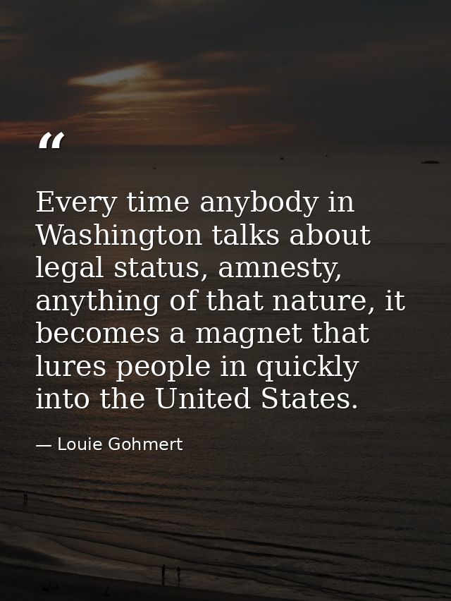 Every time anybody in Washington talks about legal status, amnesty, anything of that nature, it becomes a magnet that lu — Louie Gohmert