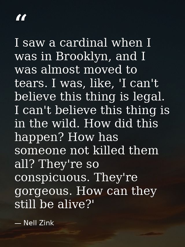 I saw a cardinal when I was in Brooklyn, and I was almost moved to tears. I was, like, 'I can't believe this thing is le — Nell Zink