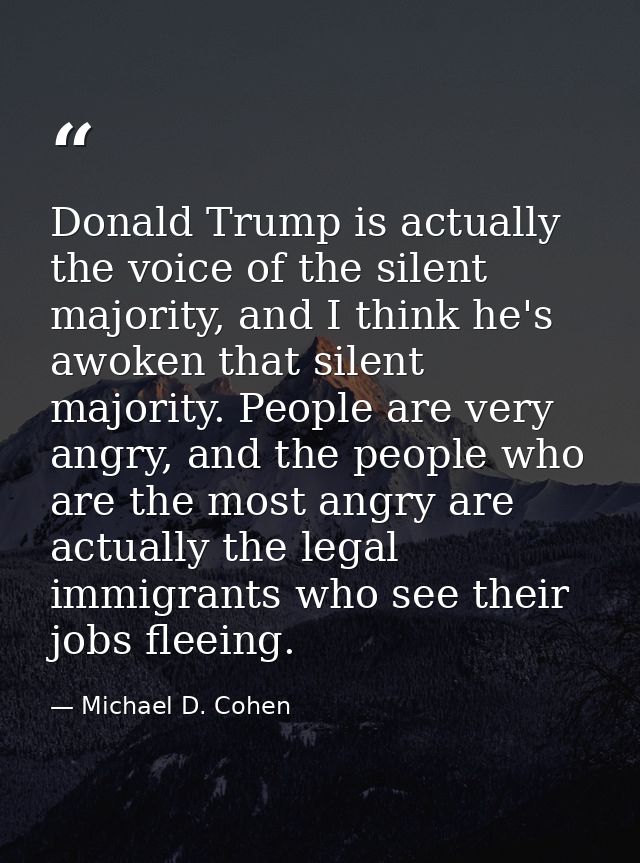 Donald Trump is actually the voice of the silent majority, and I think he's awoken that silent majority. People are very — Michael D. Cohen
