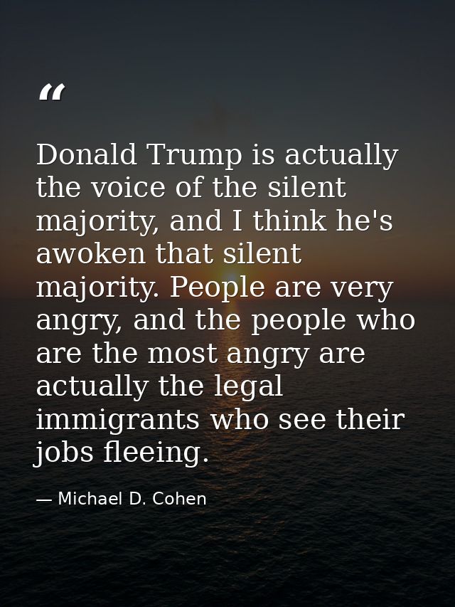 Donald Trump is actually the voice of the silent majority, and I think he's awoken that silent majority. People are very — Michael D. Cohen