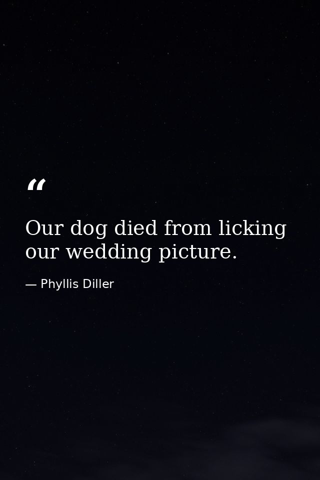 Our dog died from licking our wedding picture. — Phyllis Diller