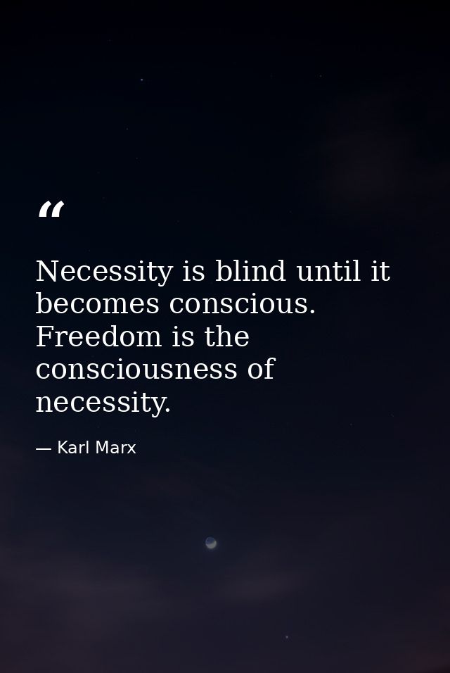 Necessity is blind until it becomes conscious. Freedom is the consciousness of necessity. — Karl Marx