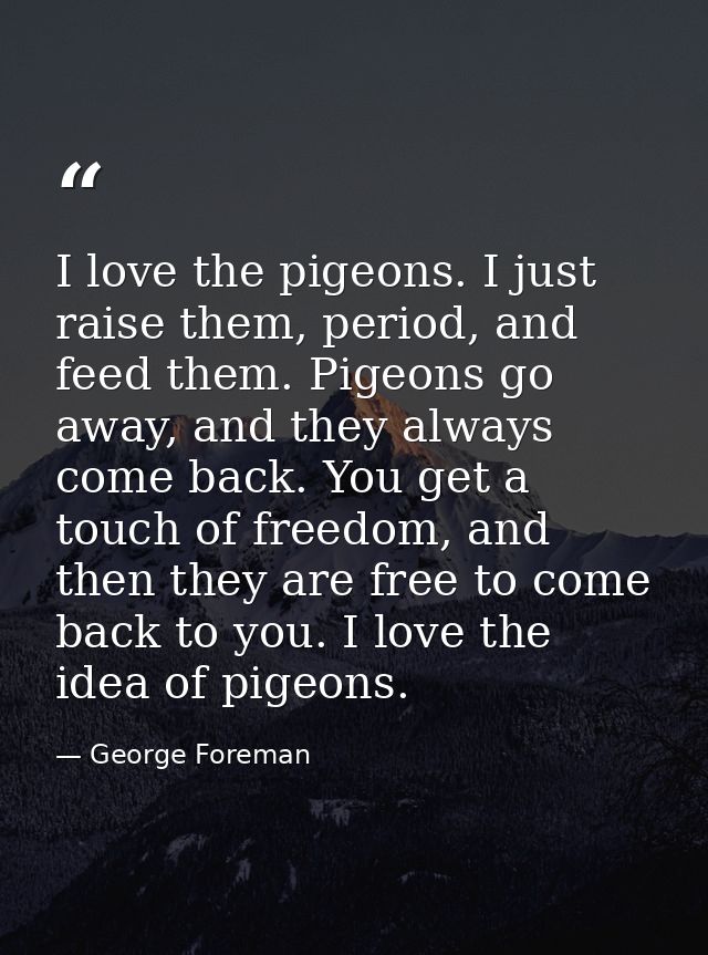I love the pigeons. I just raise them, period, and feed them. Pigeons go away, and they always come back. You get a touc — George Foreman
