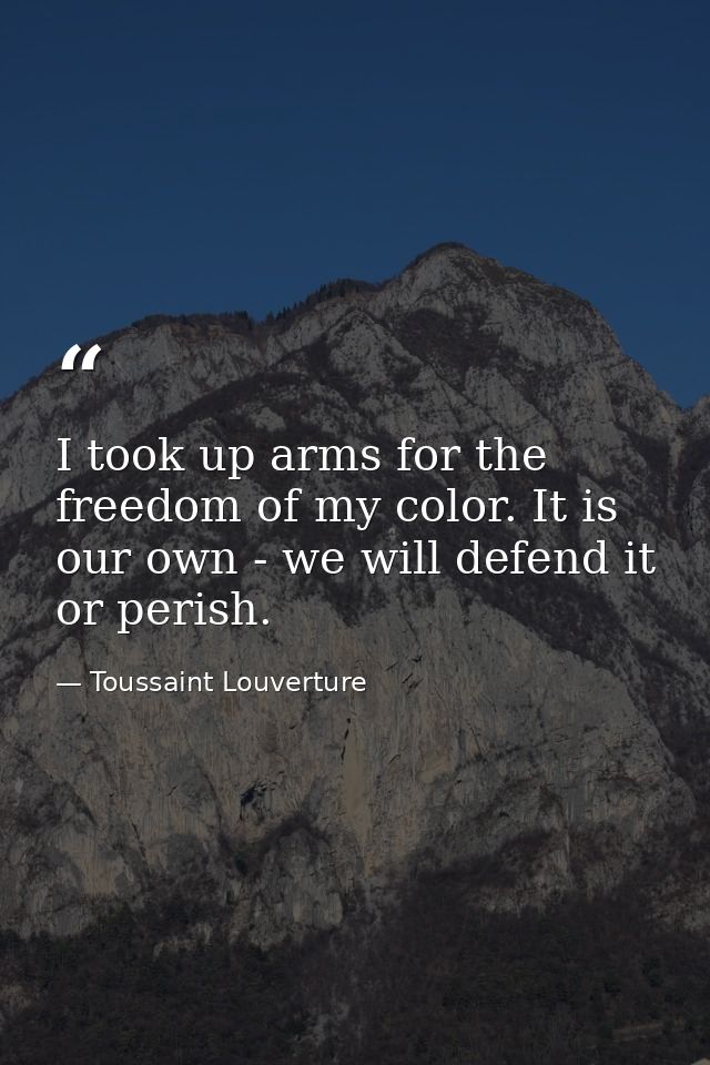 I took up arms for the freedom of my color. It is our own - we will defend it or perish. — Toussaint Louverture