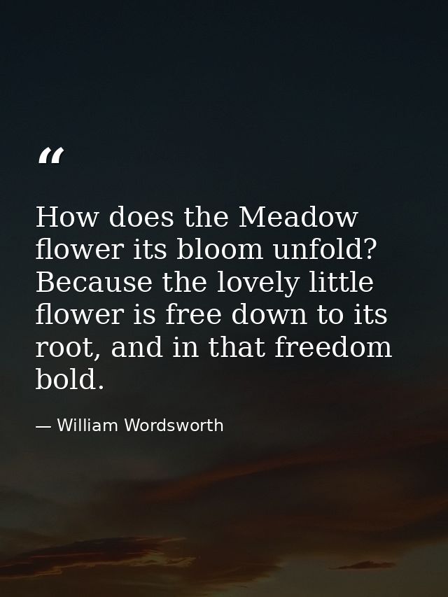 How does the Meadow flower its bloom unfold? Because the lovely little flower is free down to its root, and in that free — William Wordsworth