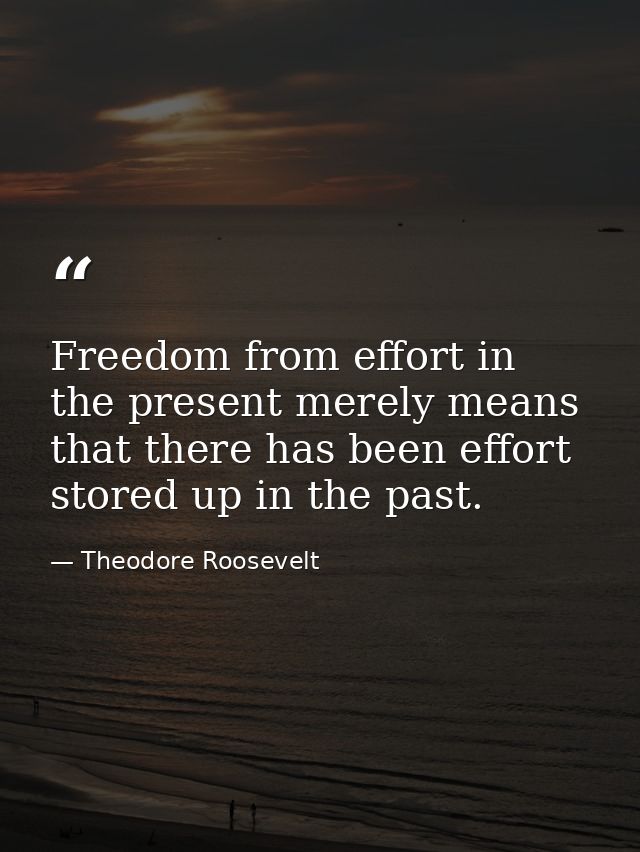 Freedom from effort in the present merely means that there has been effort stored up in the past. — Theodore Roosevelt