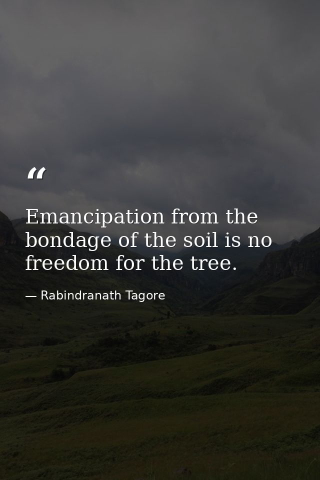 Emancipation from the bondage of the soil is no freedom for the tree. — Rabindranath Tagore
