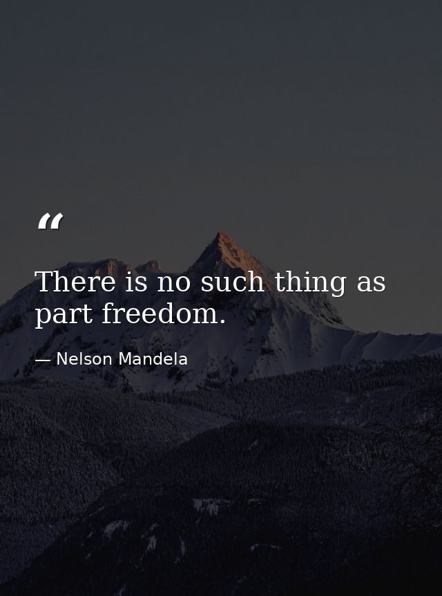 There is no such thing as part freedom. — Nelson Mandela