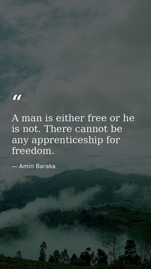 A man is either free or he is not. There cannot be any apprenticeship for freedom. — Amiri Baraka