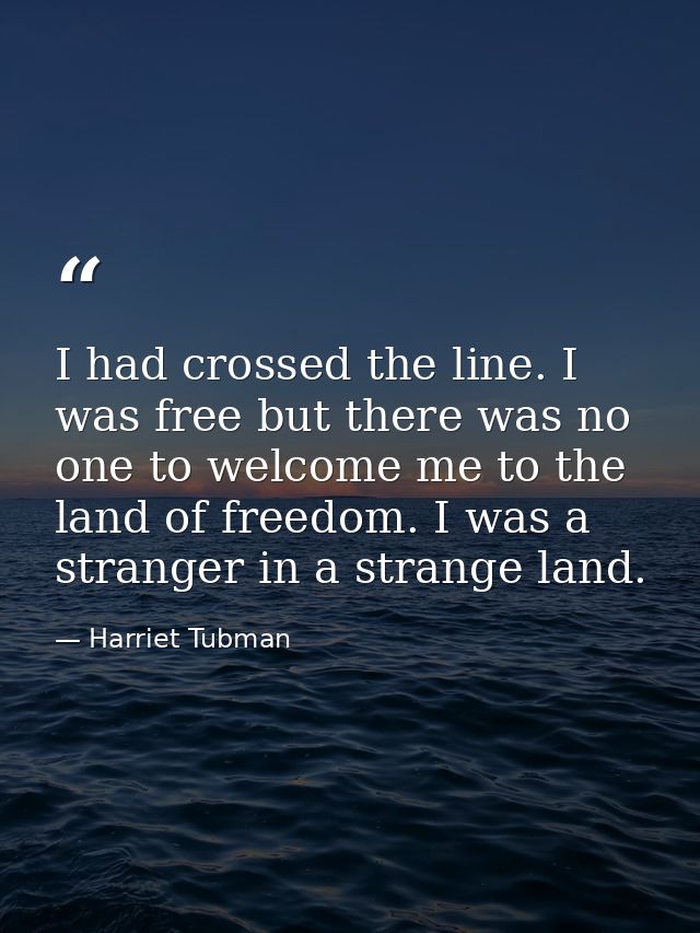 I had crossed the line. I was free but there was no one to welcome me to the land of freedom. I was a stranger in a stra — Harriet Tubman