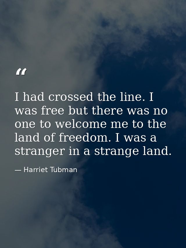 I had crossed the line. I was free but there was no one to welcome me to the land of freedom. I was a stranger in a stra — Harriet Tubman