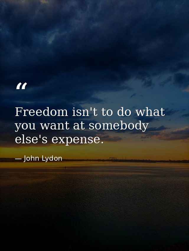 Freedom isn't to do what you want at somebody else's expense. — John Lydon