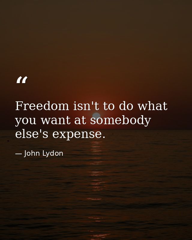 Freedom isn't to do what you want at somebody else's expense. — John Lydon