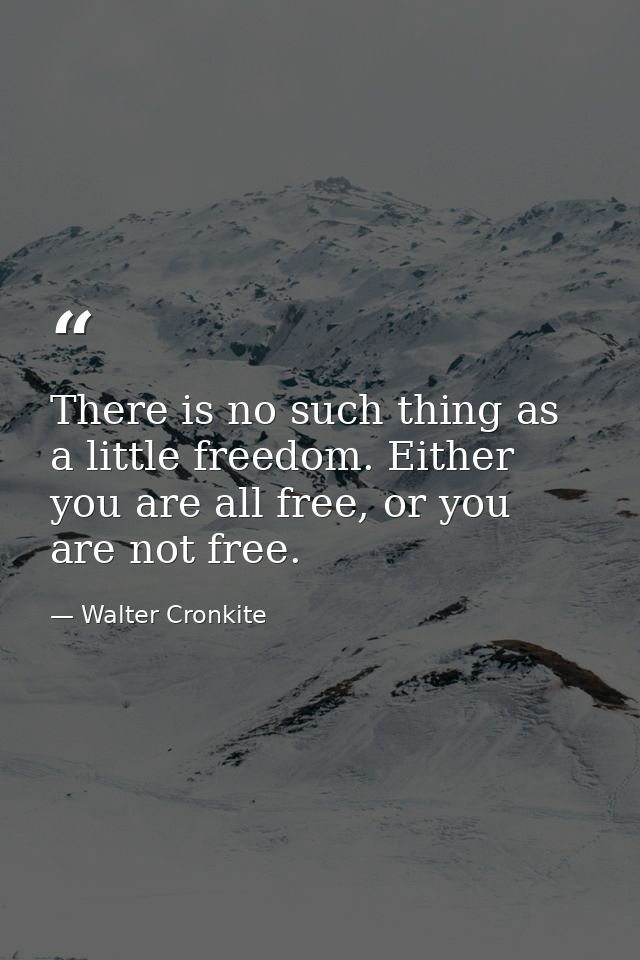 There is no such thing as a little freedom. Either you are all free, or you are not free. — Walter Cronkite