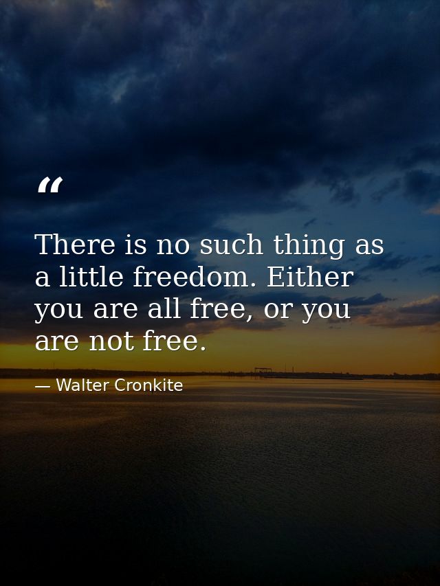 There is no such thing as a little freedom. Either you are all free, or you are not free. — Walter Cronkite