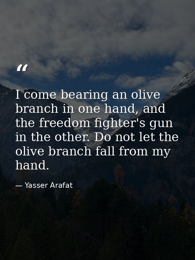 I come bearing an olive branch in one hand, and the freedom fighter's gun in the other. Do not let the olive branch fall — Yasser Arafat