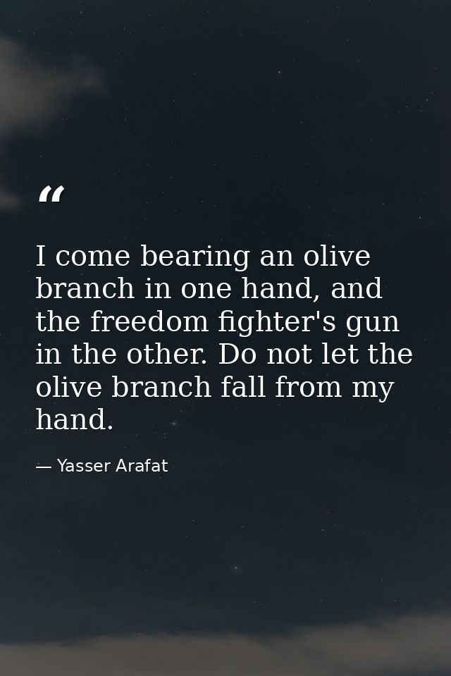 I come bearing an olive branch in one hand, and the freedom fighter's gun in the other. Do not let the olive branch fall — Yasser Arafat