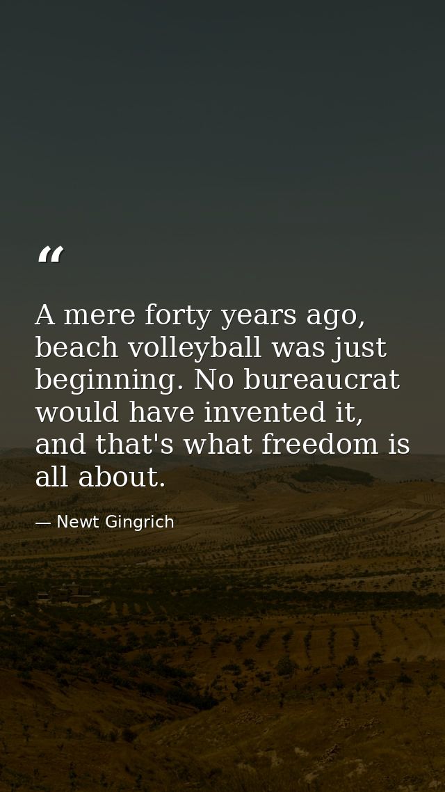 A mere forty years ago, beach volleyball was just beginning. No bureaucrat would have invented it, and that's what freed — Newt Gingrich